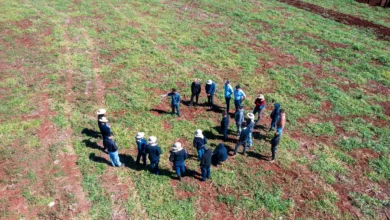 engenheiros-agronomos-itaipu