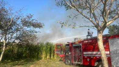 Bombeiros combatem incêndio em Ribeirão Preto foto CB SP