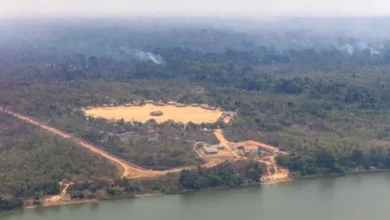 Aldeia Metuktire, à beira do Rio Xingu, onde vive o cacique Raoni, cercada por ar esfumaçado e paredões de fumaça, que mostram fogo ativo. Crédito: Marizilda Cruppe/Greenpeace Brasil