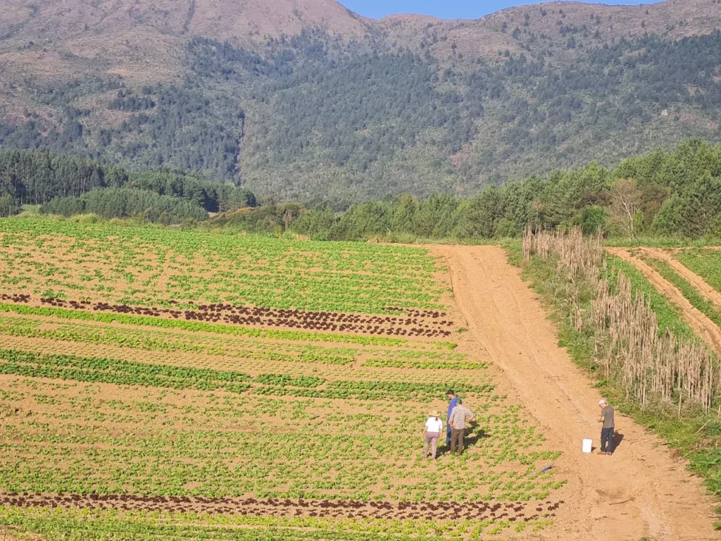 Programa tem como objetivo levar desenvolvimento sustentável para produtores rurais. Fotos: divulgação.