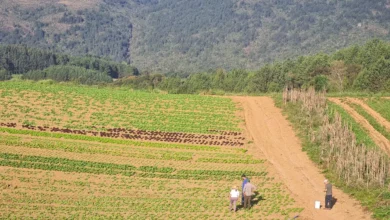 Programa tem como objetivo levar desenvolvimento sustentável para produtores rurais. Fotos: divulgação.