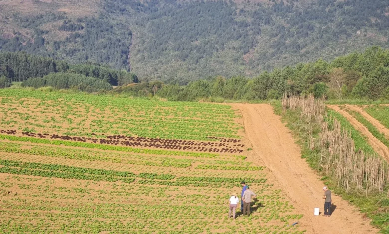 Programa tem como objetivo levar desenvolvimento sustentável para produtores rurais. Fotos: divulgação.