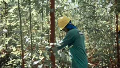 Grupo SADA é premiado por ações na redução da emissão de carbono / Divulgação Grupo SADA