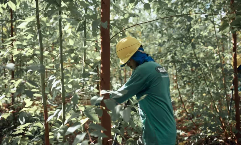 Grupo SADA é premiado por ações na redução da emissão de carbono / Divulgação Grupo SADA