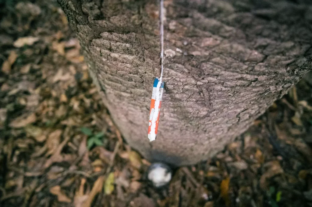 Christian-Braga-WWF-Brasil