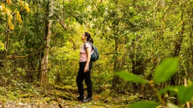 Trilha Ytepopo – Parque Nacional do Iguaçu