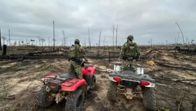 O trabalho de investigação da Polícia Federal inclui o envio de peritos especializados aos locais afetados e o uso de tecnologia avançada para identificar os pontos de origem dos incêndios - Foto: PF/Divulgação