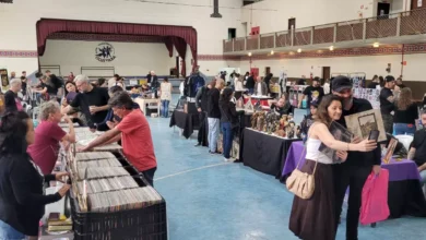 Feira do Vinil, Colecionaveis e Variedades - foto T. Vanso-divulgação (3).jpeg