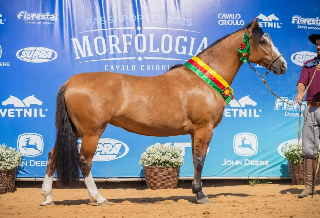 Ramon 291 Florência - Crédito Fagner Almeida Divulgação