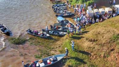 parana__rio ivaí peixes