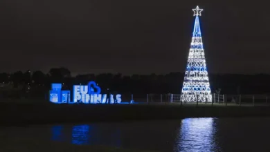 Acendimento das luzes de Natal irá iluminar o Parque das Águas e todos os bosques de Pinhais a partir deste sábado (23). (Foto: PMP)