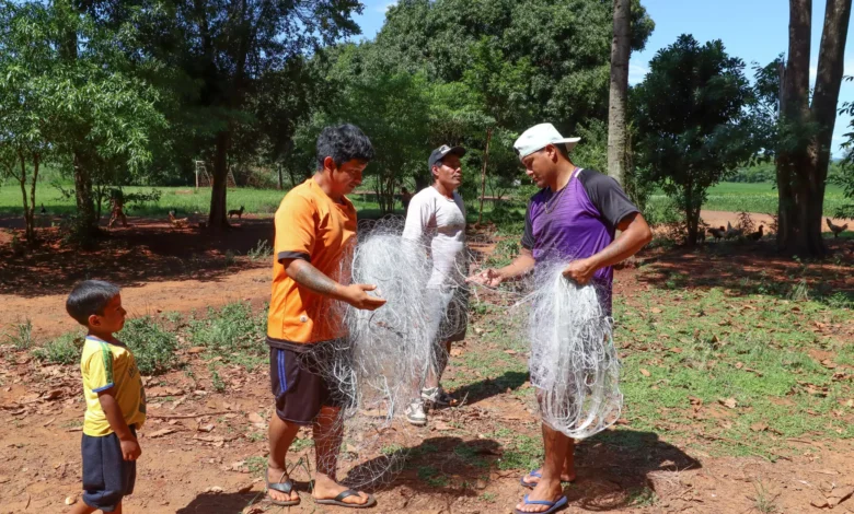 comunidade-guarani-parana