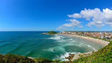 Prainha, São Chico