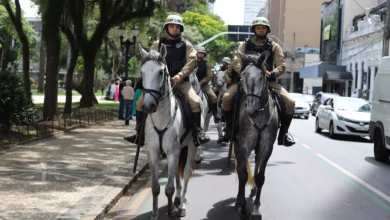 pmpr_curitiba__cavalaria nas ruas