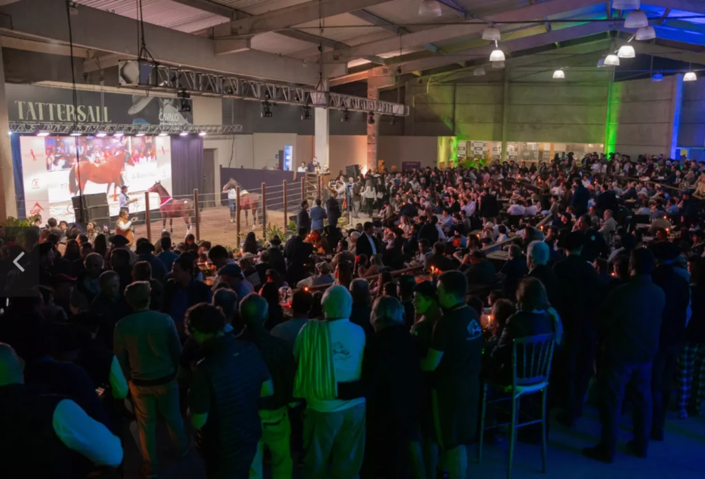 _Leilão Cavalo Crioulo - Crédito ABCCC Divulgação