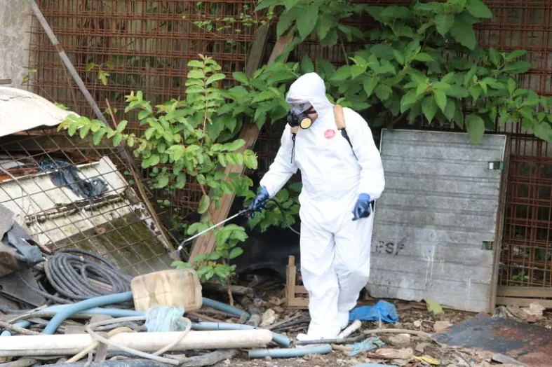 combate-dengue-pinhais