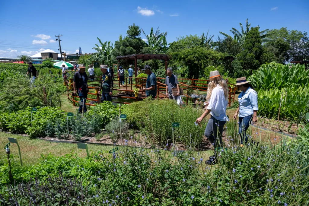 abellha-sem-ferrao-itaipu-show-rural-coopavel-2025