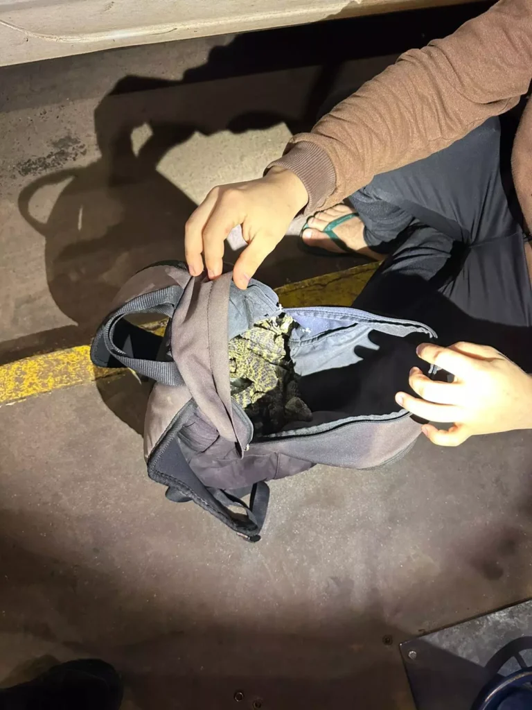 Fiscalizacao na Ponte da Amizade