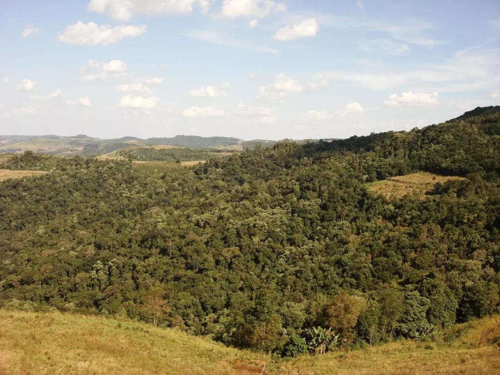 Projeto Escola Carbono Zero