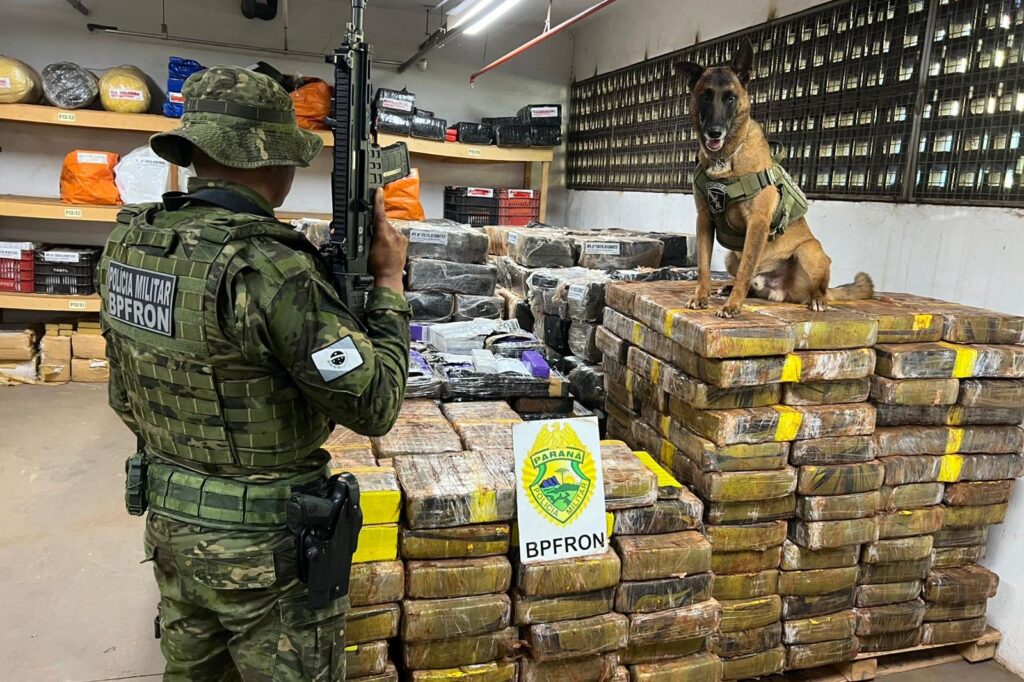 pmpr-apreende-1,5-tonelada-de-maconha-escondida-em-area-de-mata-em-santa-helena