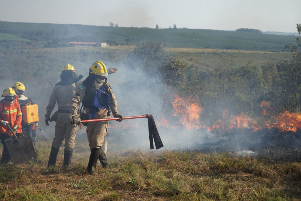 chuvas-e-conscientizacao-da-populacao-reduzem-em-41%-incendios-florestais-no-parana