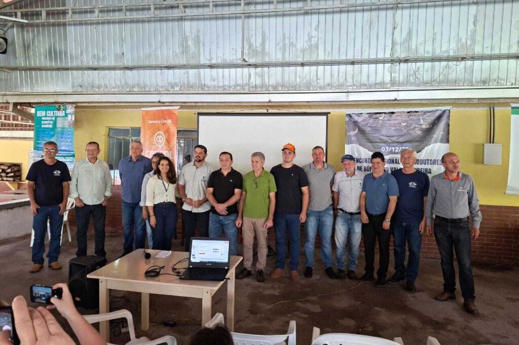 com-acoes-do-idr-parana,-renda-dos-criadores-de-bufalos-pode-crescer-50%-no-estado