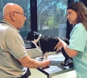 Hospital Veterinário Curitiba