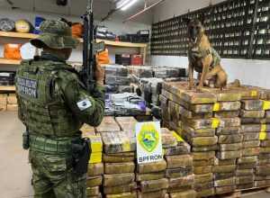 pmpr-apreende-1,5-tonelada-de-maconha-escondida-em-area-de-mata-em-santa-helena