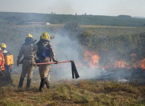 chuvas-e-conscientizacao-da-populacao-reduzem-em-41%-incendios-florestais-no-parana