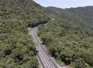 BR 277 - Viaduto dos Padres