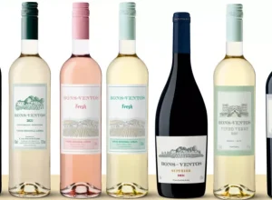 Divulgação Vinhos Bons Ventos
