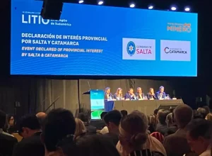 12º Congresso Internacional de Lítio 2023. Gerente Geral da Divisão da Indústria - Gemü