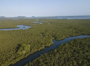 Baia-de-Guaratuba---Guaratuba---PR