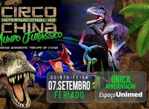 Circo Internacional da China