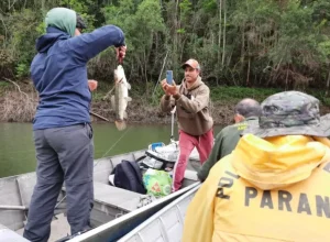 __IAT fiscalização peixe