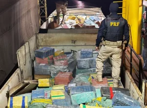 AnyConv.com__IMG-20250627-WA0029