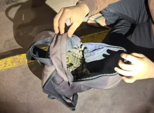 Fiscalizacao na Ponte da Amizade