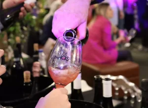 Feira de Vinhos Madalosso