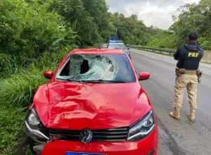 veiculo_apreendido-prf