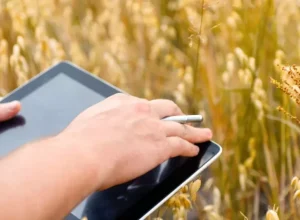 tecnologia-agronegocio