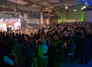 _Leilão Cavalo Crioulo - Crédito ABCCC Divulgação