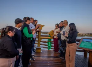 pinhais__Linha turismo-26