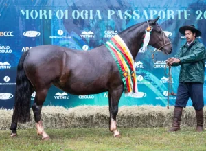 Macanilha-do-Rosal-Credito-Leandro-Vieira-Divulgacao