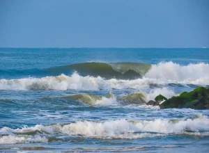 paranaense-surf-amador