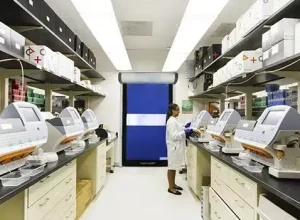 _Rayflex---Divulgacao