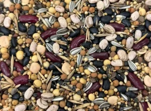 Sementes - Imagem Ilustrativa - Crédito Apasem