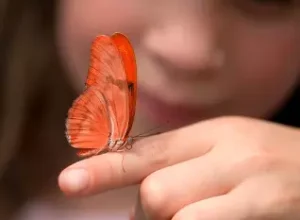 A Vuelo Pharma, empresa que desenvolve produtos para esse público, promove na próxima terça-feira, dia 20/02, uma ação para conscientização sobre a doença para seus colaboradores. Imagem de Freepik