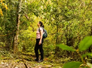 Trilha Ytepopo – Parque Nacional do Iguaçu