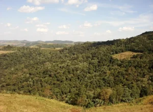 Projeto Escola Carbono Zero