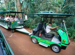 turismo_abertura_de_empresas_ligadas_ao_turismo_no_parana_foi_81_maior_em_2023